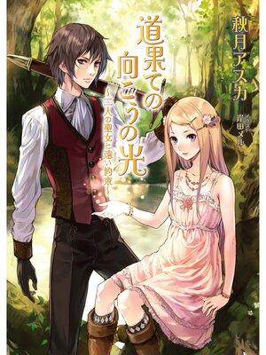 cover image of 道果ての向こうの光～二人の聖女と遠い約束～